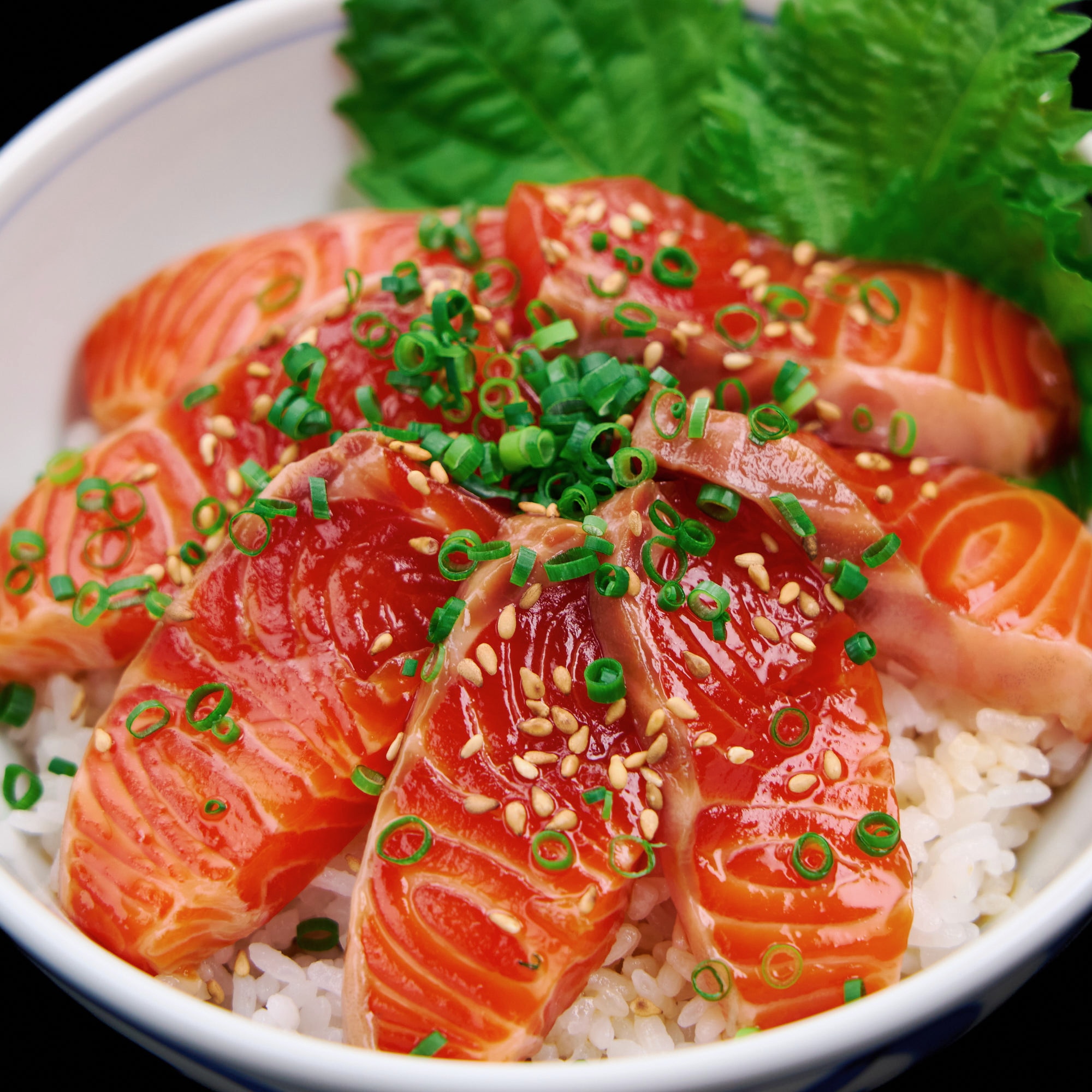 Salmon Sashimi Donburi